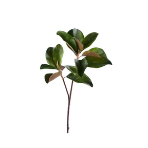 29" Magnolia Leaf Spray – Green/Brown Artificial Stem-FG659209 Craig Bachman