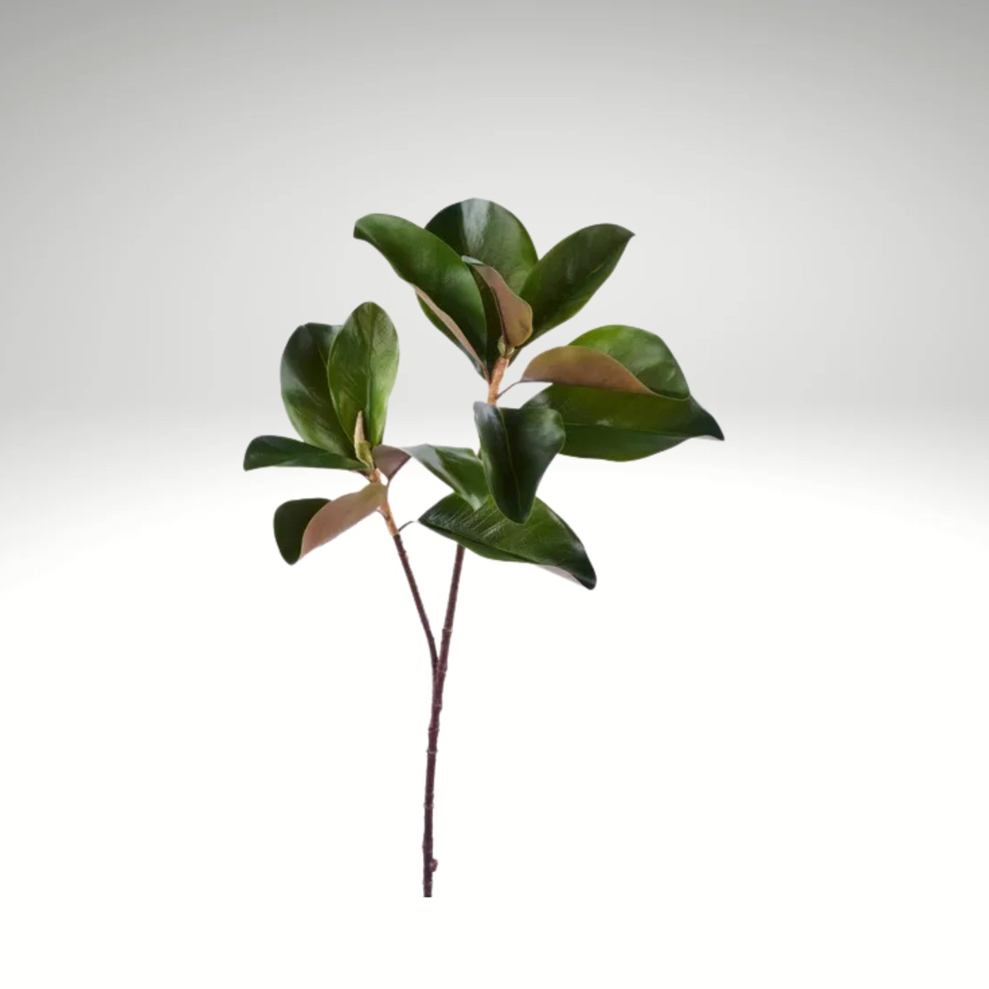 29" Magnolia Leaf Spray – Green/Brown Artificial Stem-FG659209 Craig Bachman