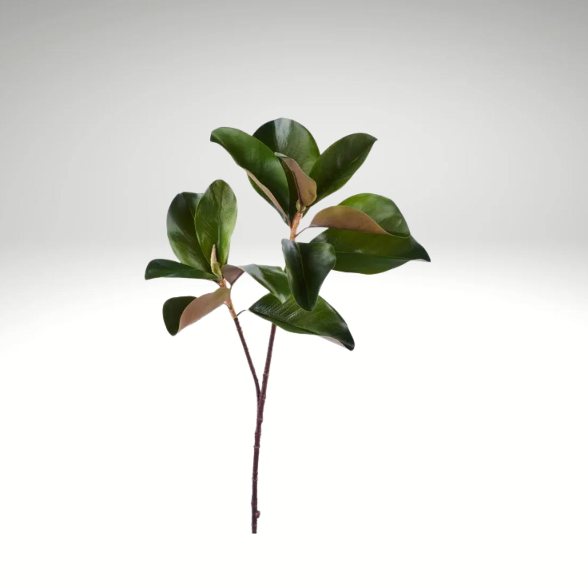 29" Magnolia Leaf Spray – Green/Brown Artificial Stem-FG659209 Craig Bachman