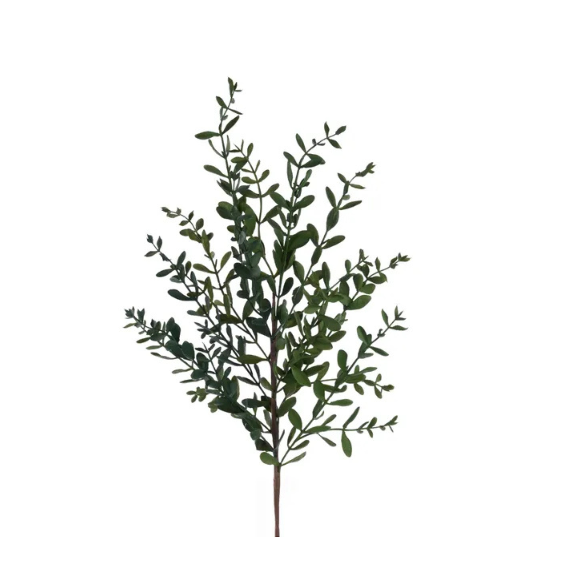32" Wild Boxwood Spray – Artificial Greenery Stem for Crafts & Arrangements-FG666509 Craig Bachman