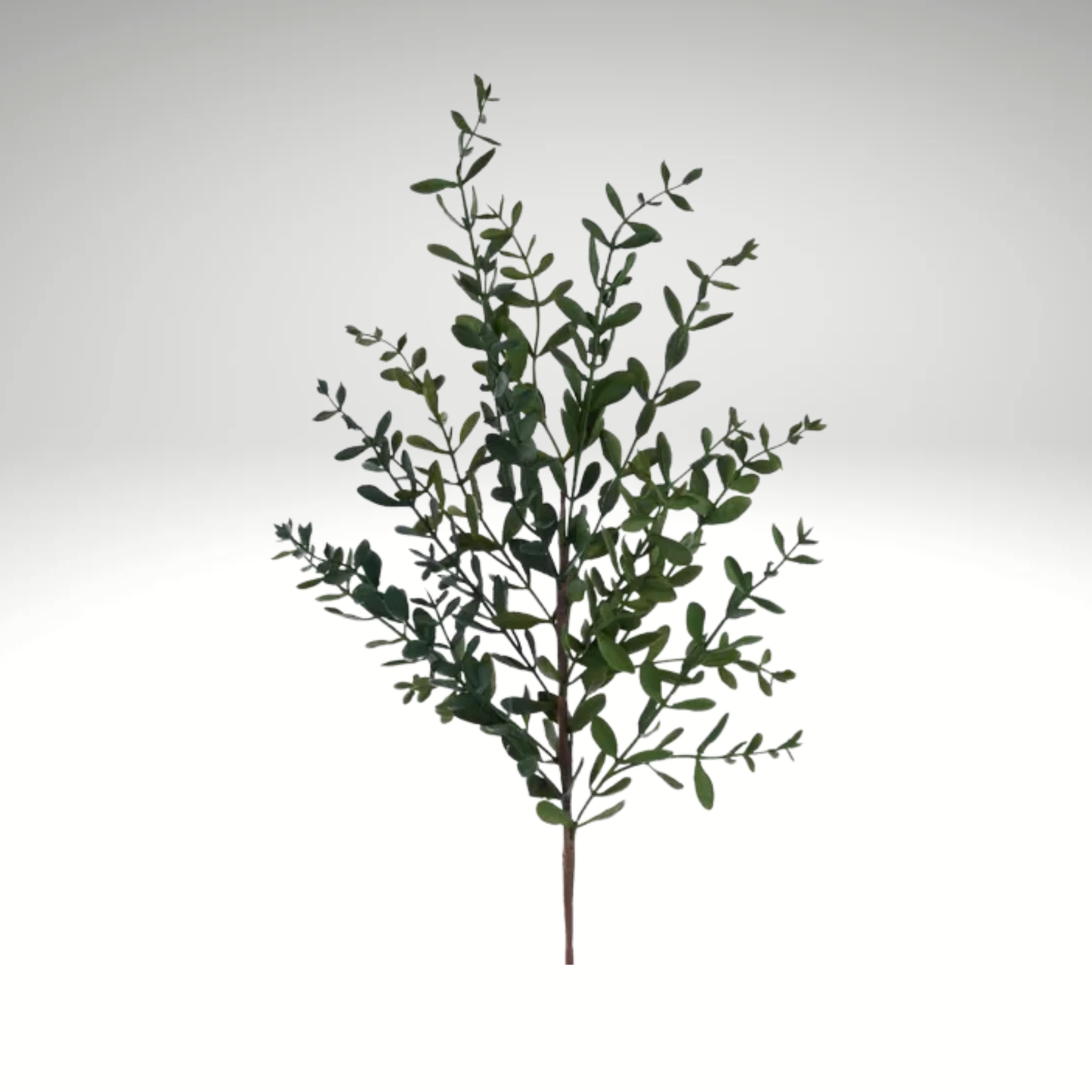 32" Wild Boxwood Spray – Artificial Greenery Stem for Crafts & Arrangements-FG666509 Craig Bachman