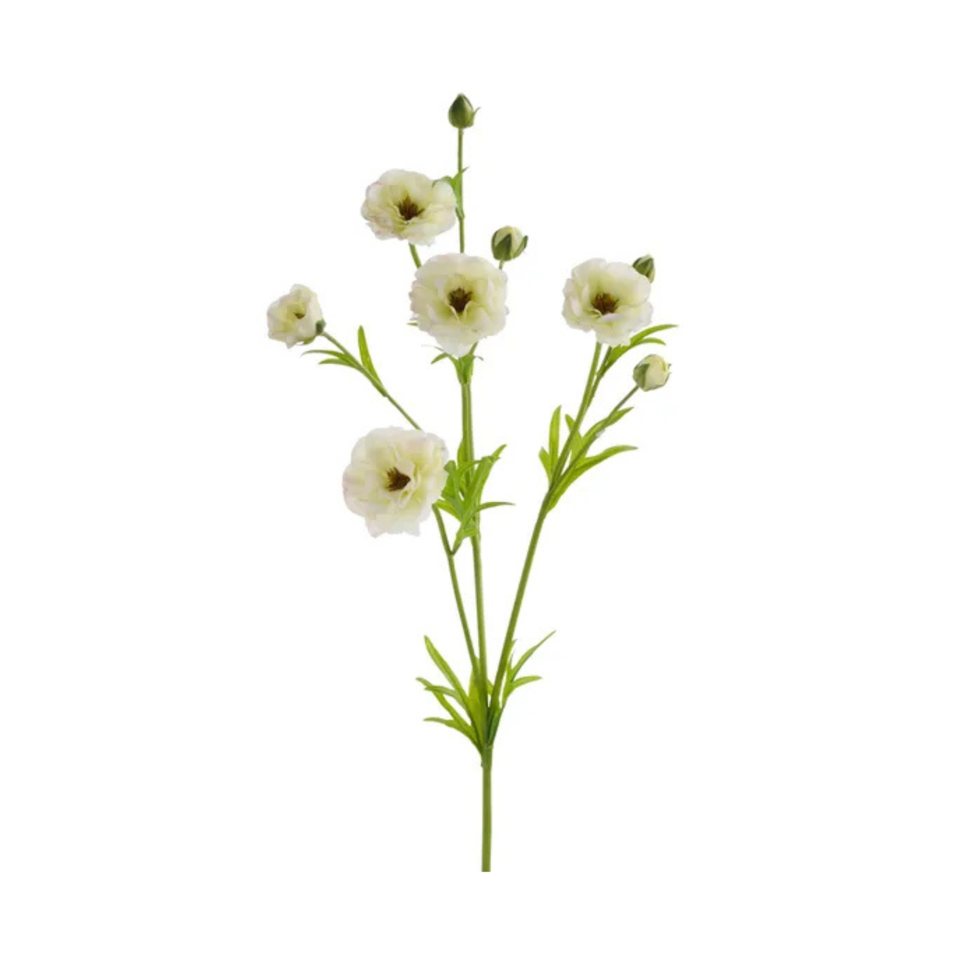 Real Touch Cream Ranunculus Spray – 28" Artificial Floral Stem-FL000474 Craig Bachman