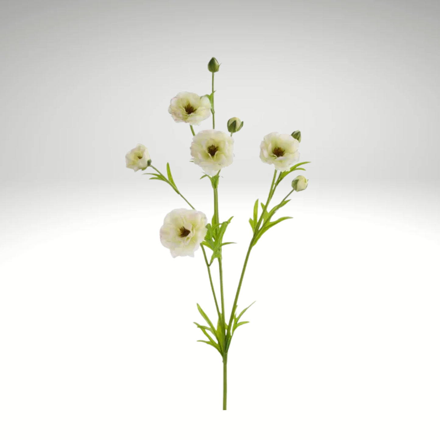 Real Touch Cream Ranunculus Spray – 28" Artificial Floral Stem-FL000474 Craig Bachman