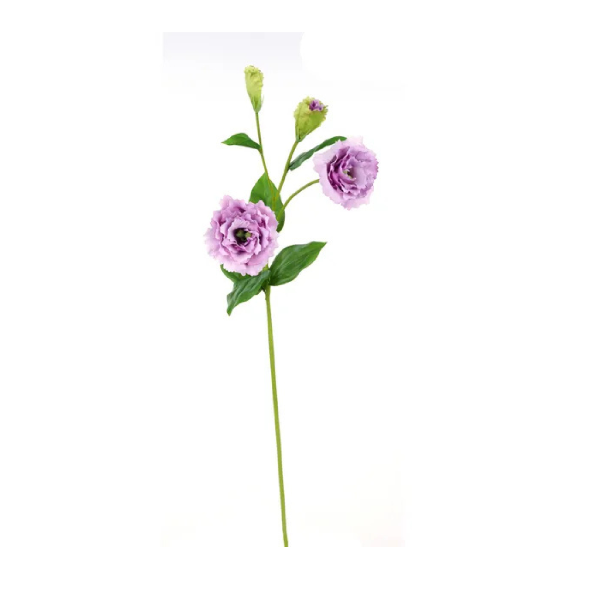 Real Touch Lavender Lisianthus Spray | 24.5" Artificial Floral Stem-FL001813 Craig Bachman