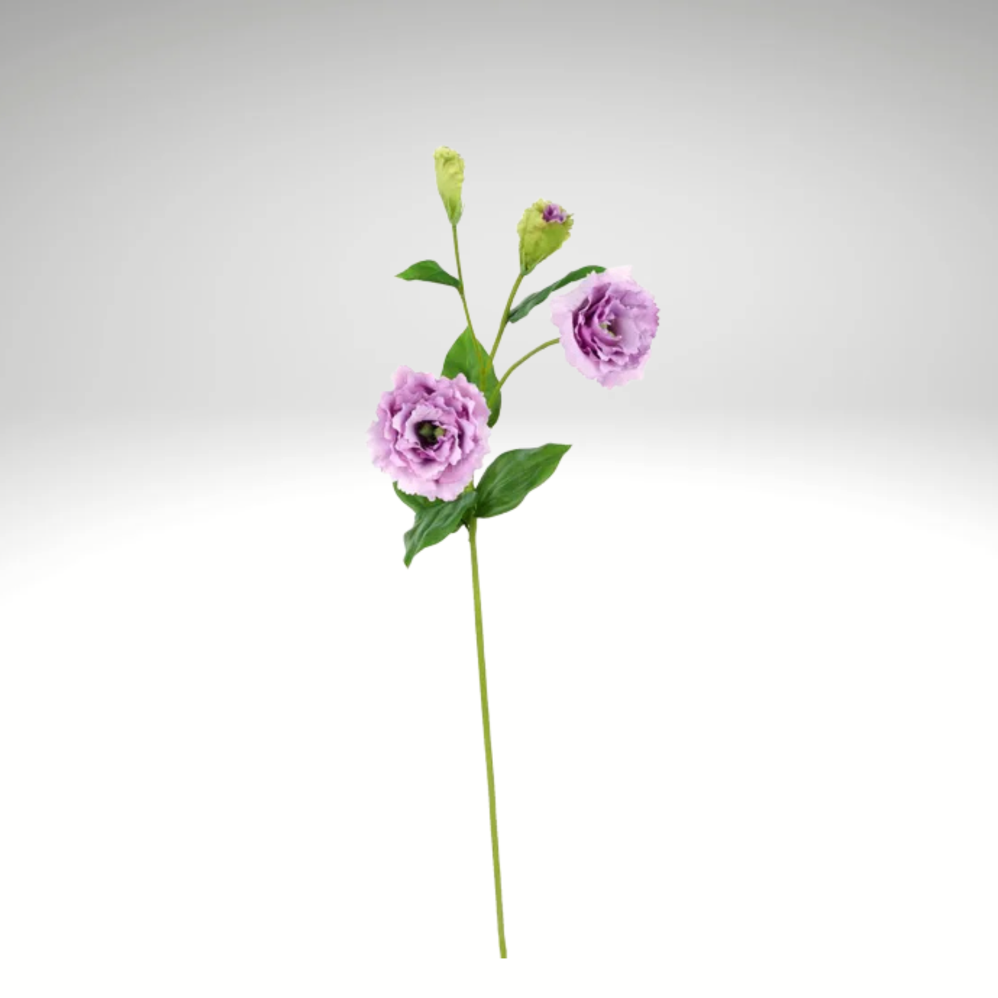 Real Touch Lavender Lisianthus Spray | 24.5" Artificial Floral Stem-FL001813 Craig Bachman