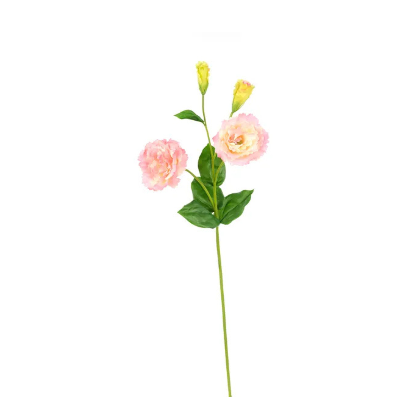 Real Touch Pink/Yellow Lisianthus Spray | 24.5" Artificial Floral Stem-FL001822 Craig Bachman
