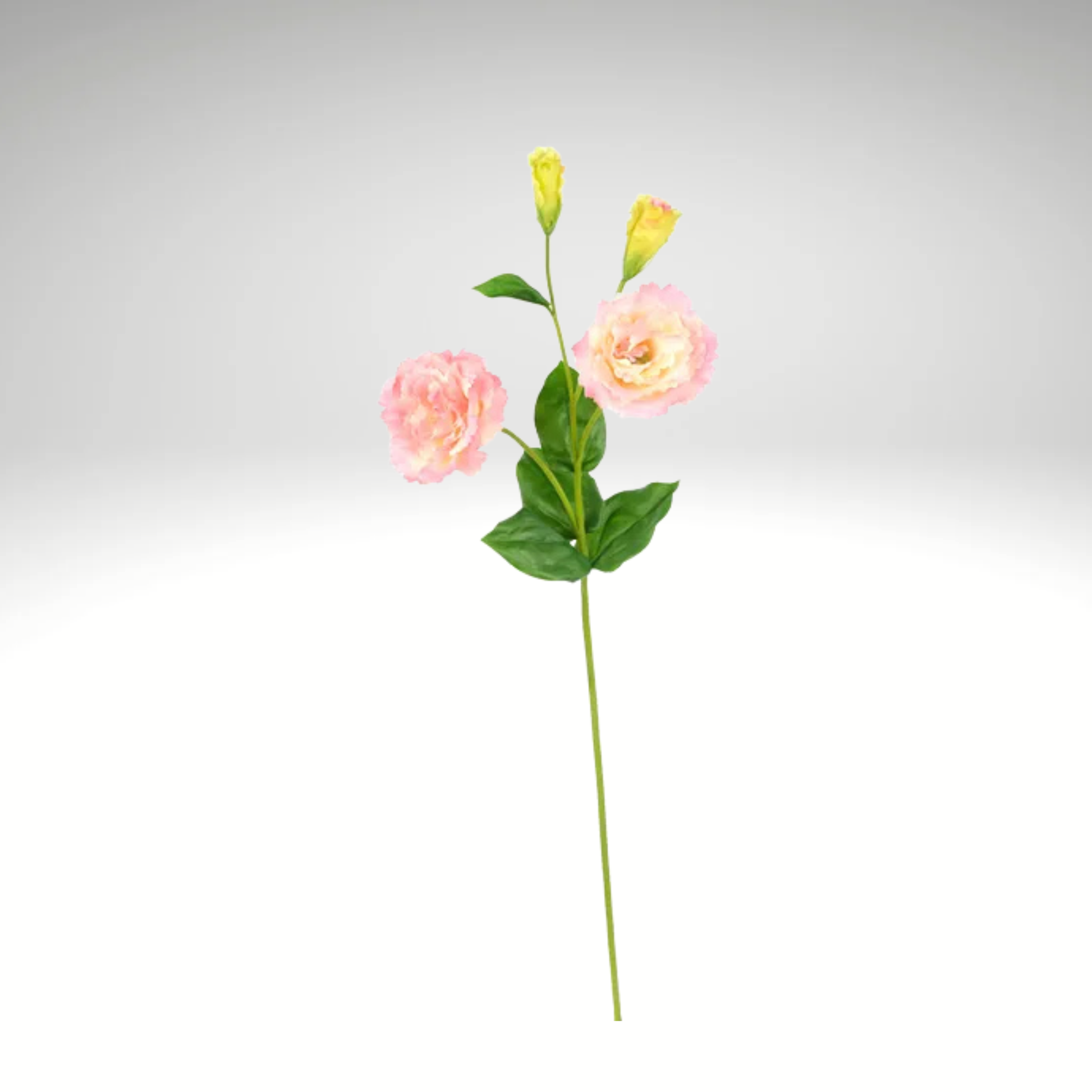Real Touch Pink/Yellow Lisianthus Spray | 24.5" Artificial Floral Stem-FL001822 Craig Bachman