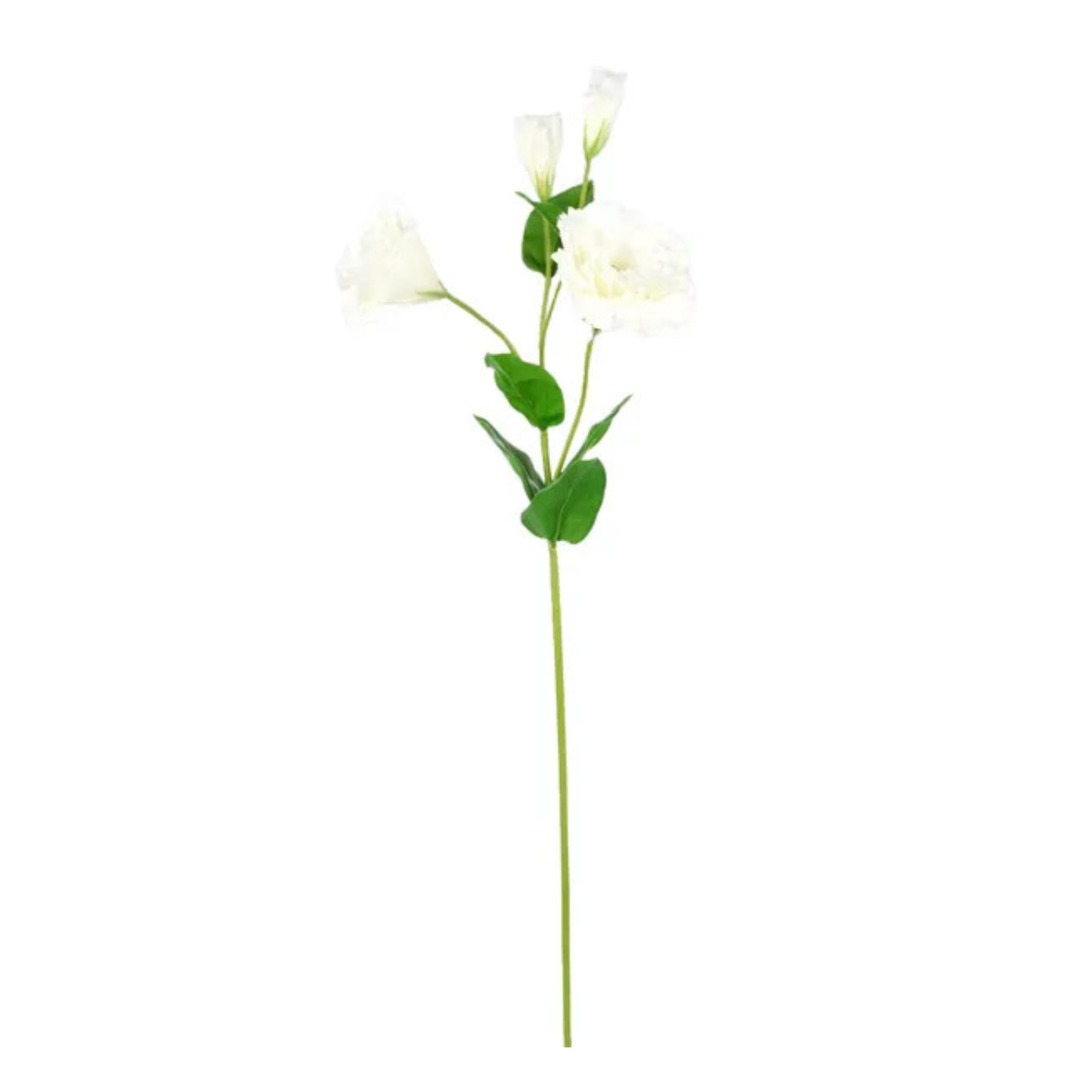 Real Touch White Lisianthus Spray | 24.5" Artificial Floral Stem-FL001827 Craig Bachman