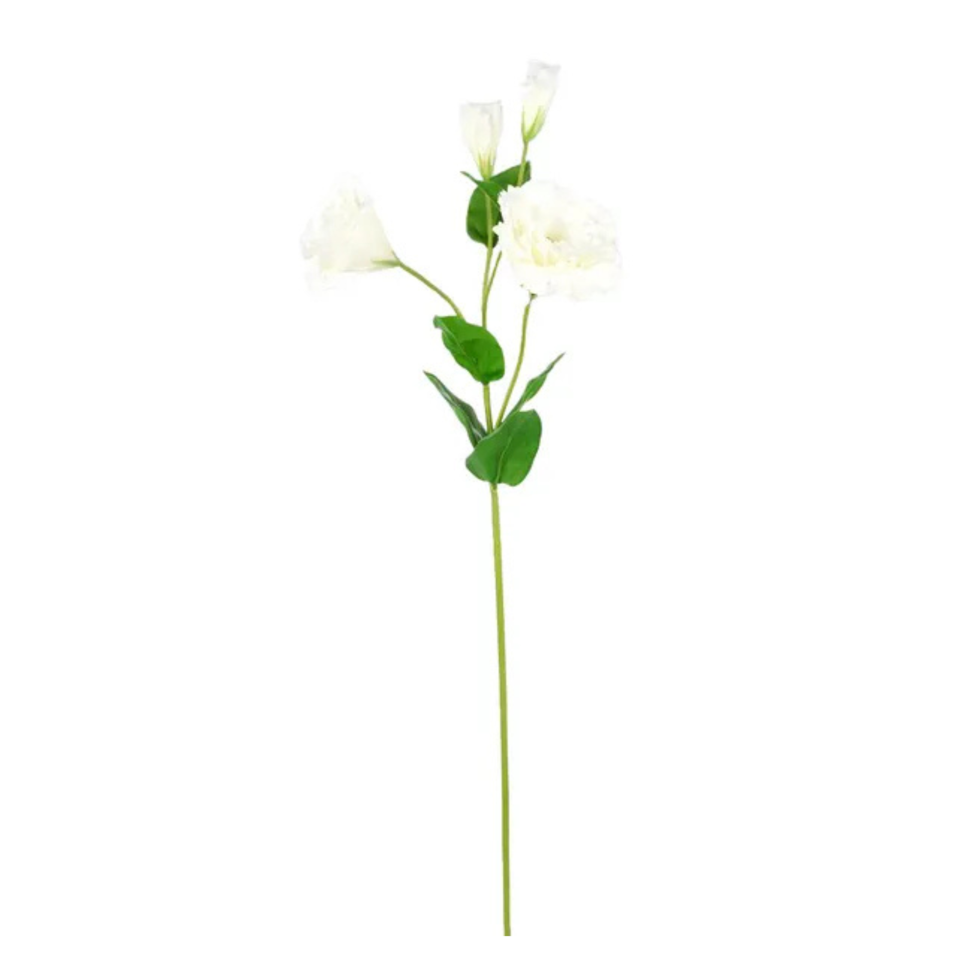 Real Touch White Lisianthus Spray | 24.5" Artificial Floral Stem-FL001827 Craig Bachman