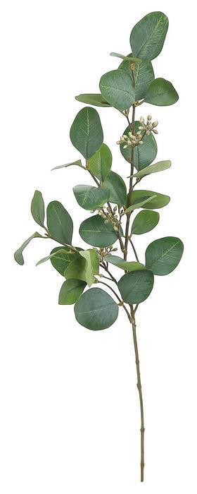 Silver Dollar Eucalyptus Spray | Blue Green Foliage Stem | 30" Spray-FL3514BG Select Artificials
