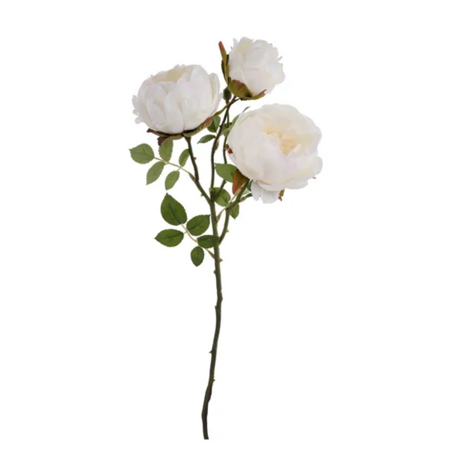 22" Artificial Cream Peony Spray - Floral Stem for Wreaths, Arrangements, & Decor -FS376037 Craig Bachman