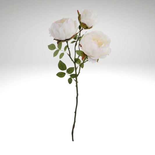22" Artificial Cream Peony Spray - Floral Stem for Wreaths, Arrangements, & Decor -FS376037 Craig Bachman