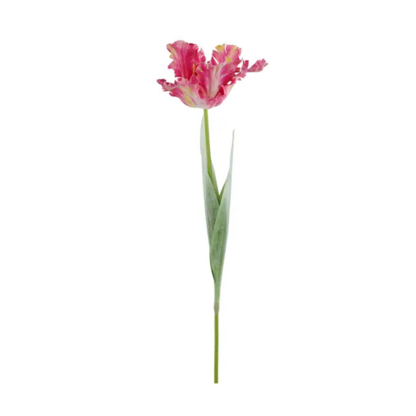 Parrot Tulip Stem Dark Pink Yellow | 27" Artificial Flower-FS383394 Craig Bachman