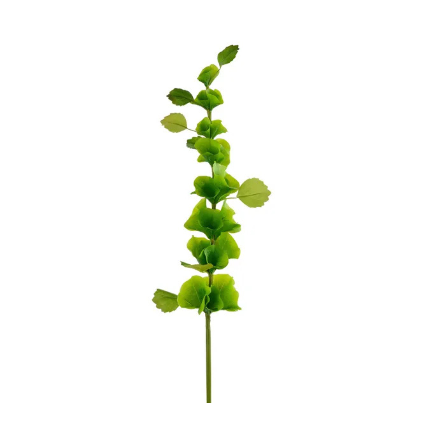 Artificial Bells of Ireland Stem | 29" Green Faux Floral-FS389409 Craig Bachman