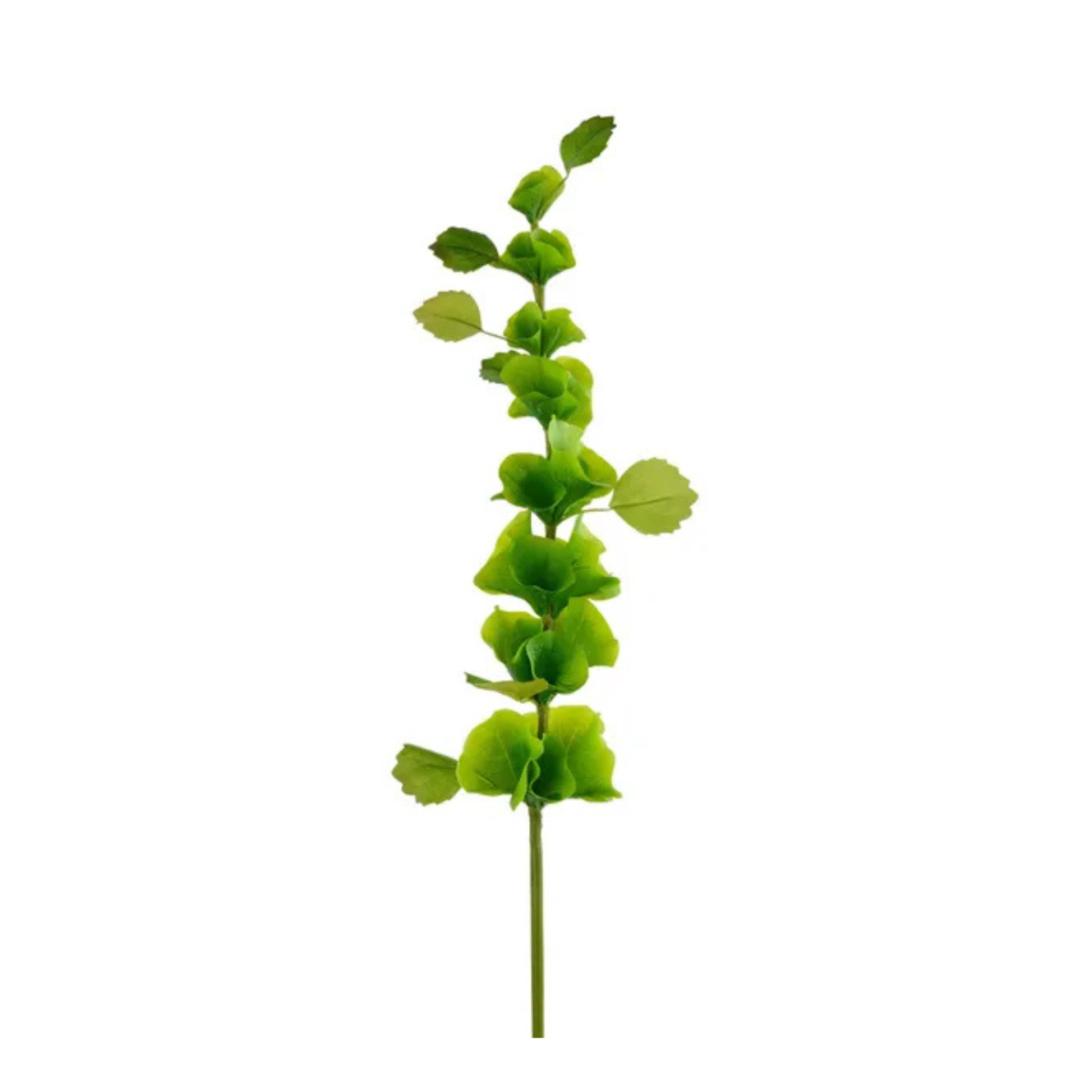 Artificial Bells of Ireland Stem | 29" Green Faux Floral-FS389409 Craig Bachman