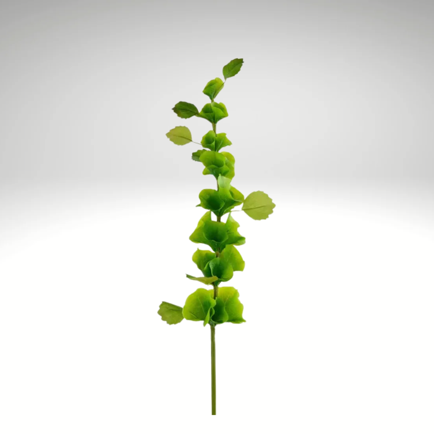 Artificial Bells of Ireland Stem | 29" Green Faux Floral-FS389409 Craig Bachman