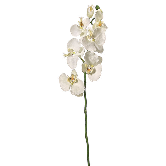 Cream Artificial Phalaenopsis Orchid Spray-FSO006-CR
