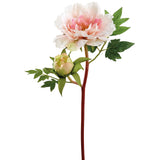 Pink Artificial Peony Spray-FSP476-PK/BS