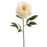 Cream Artificial Peony Spray-FSP829-CR