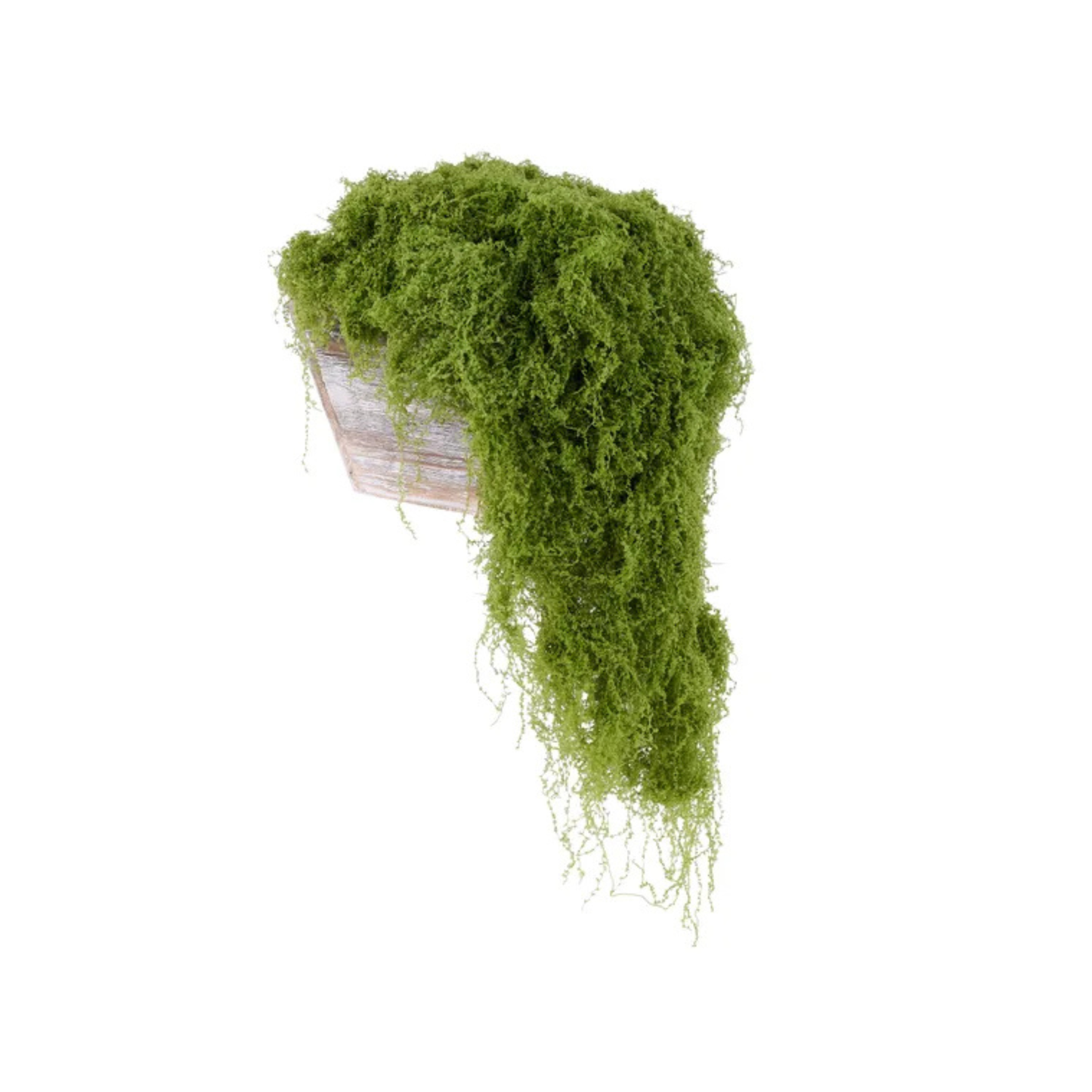 Light Green Artificial Fabric Moss 500g for Floral & Crafts