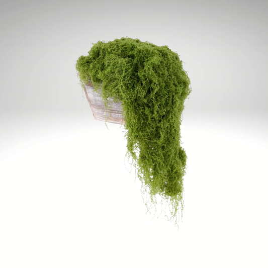 Light Green Artificial Fabric Moss 500g for Floral & Crafts-MD175630 Craig Bachman