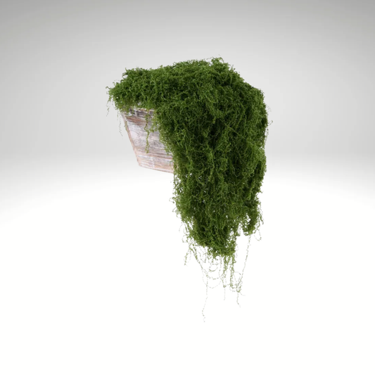 Dark Green Artificial Fabric Moss 500g for Floral & Crafts-MD175631 Craig Bachman