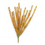 Pumpkin Seed Grass Bush Fall Stem 20 Inch-4200-PUM TCTCrafts