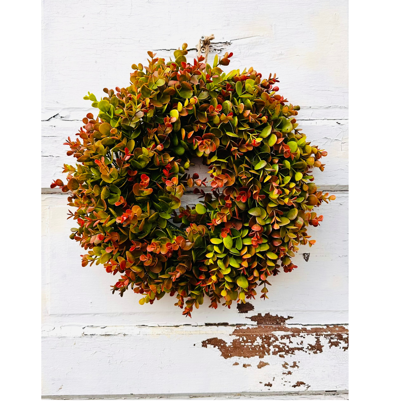 Small Fall Boxwood Wreath | 15" Autumn Front Door & Thanksgiving Decor TCTCrafts