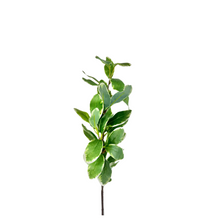 Load image into Gallery viewer, TCT Crafts 29-Inch Artificial Ficus Leaf Branch - Craft and Home Decor Supply - Artificial Greenery for Arrangements-FL5882-GW