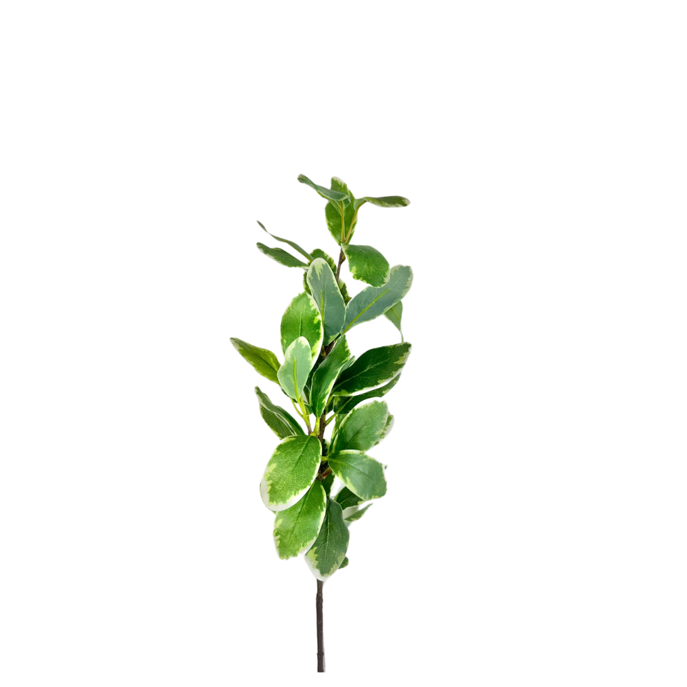 TCT Crafts 29-Inch Artificial Ficus Leaf Branch - Craft and Home Decor Supply - Artificial Greenery for Arrangements-FL5882-GW