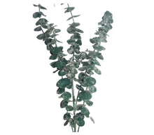 Load image into Gallery viewer, 34&quot; Artificial Plastic Frosted Eucalyptus Spray - Green - Elegant Home Decor