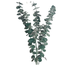 34" Artificial Plastic Frosted Eucalyptus Spray - Green - Elegant Home Decor