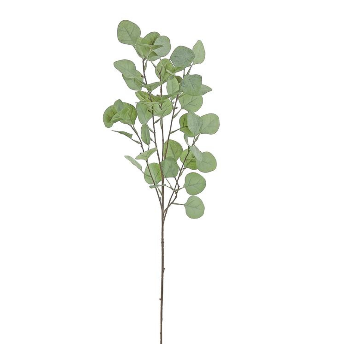 Frosted Money Leaf Spray | Sage Silver Dollar Eucalyptus | 35" Spray-FL4493-SG Select Artificials
