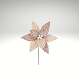 20"x12" Frosted Natural Poinsettia Stem – Neutral Holiday Pick-253379 Direct Export