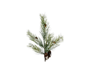 24"L Flocked Winter Pine Spray - Green with White, 5-Branch Christmas Décor-XX1697
