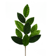Green Velvet Magnolia Leaf Spray 25"-84602SP25 Liberty Floral