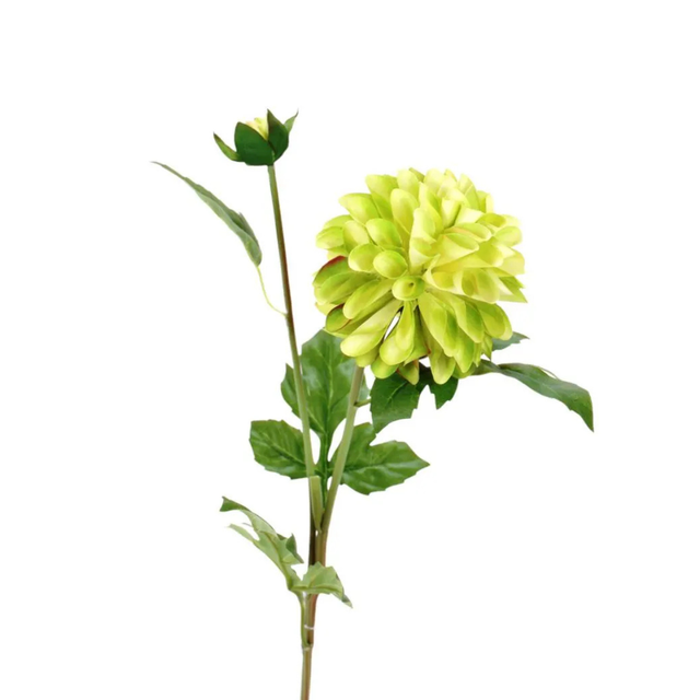 25" Artificial Green Dahlia Floral Stem with Bud-277341 Direct Export