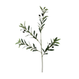 36" Artificial Olive Branch Spray | Faux Greenery Stem with Black Olives for Home & Floral Decor-13693GN Craig Bachman