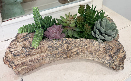 Faux Succulent Driftwood Planter | Rustic Cement Centerpiece Decor TCT Crafts