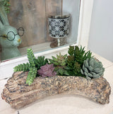 Faux Succulent Driftwood Planter | Rustic Cement Centerpiece Decor TCT Crafts