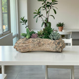 Faux Succulent Driftwood Planter | Rustic Cement Centerpiece Decor TCT Crafts