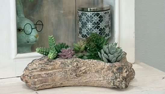 Faux Succulent Driftwood Planter | Rustic Cement Centerpiece Decor TCT Crafts