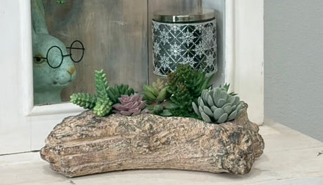 Faux Succulent Driftwood Planter | Rustic Cement Centerpiece Decor TCT Crafts