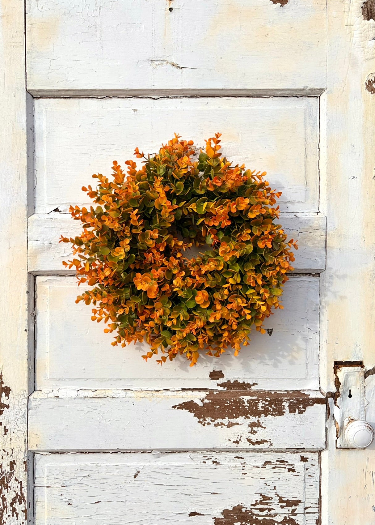 Small Fall Boxwood Wreath | 15" Autumn Front Door & Thanksgiving Decor TCTCrafts