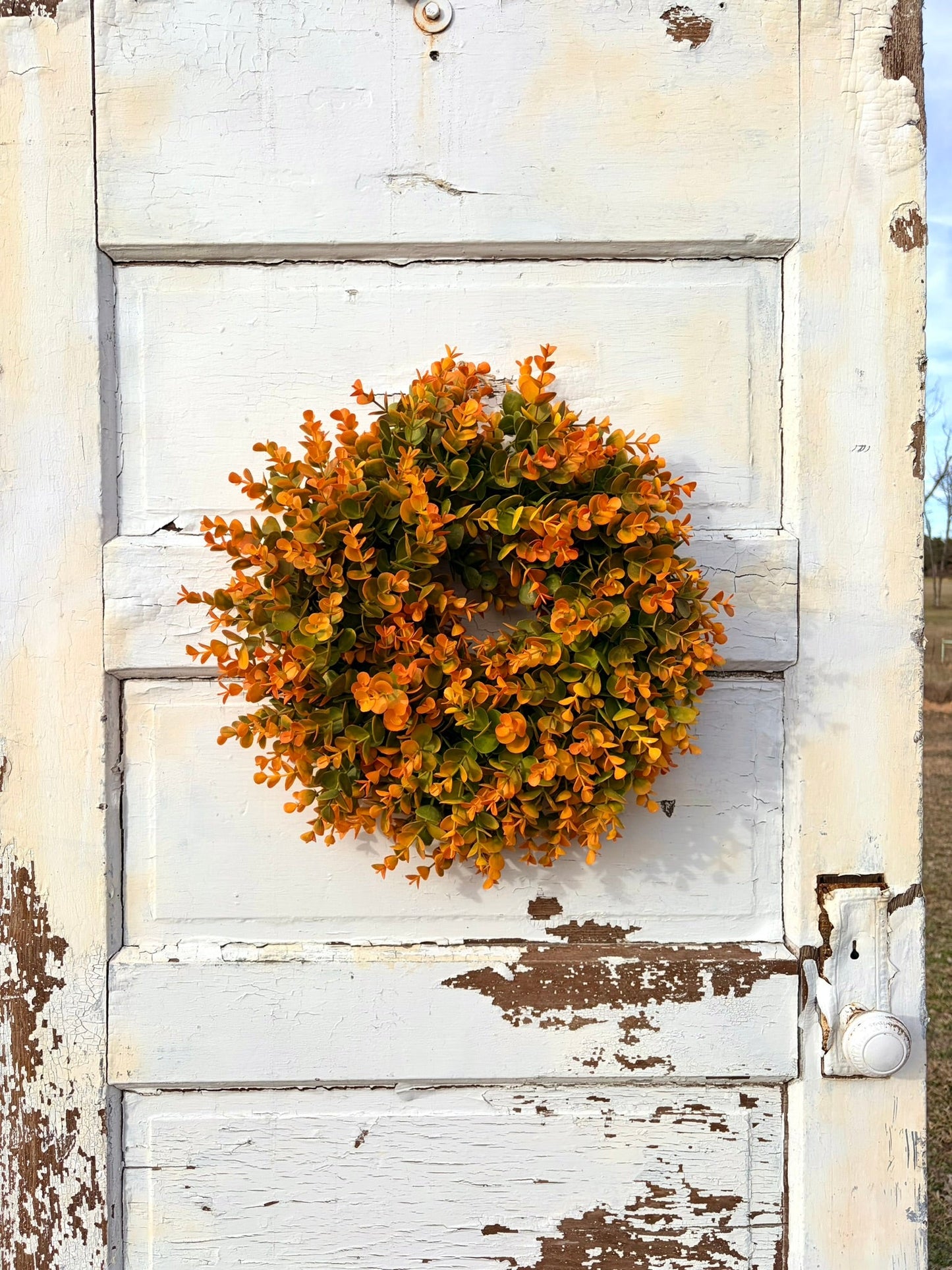 Small Fall Boxwood Wreath | 15" Autumn Front Door & Thanksgiving Decor TCTCrafts