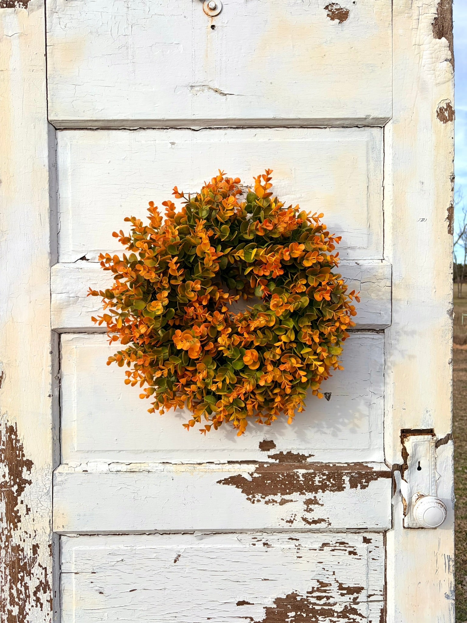 Small Fall Boxwood Wreath | 15" Autumn Front Door & Thanksgiving Decor TCTCrafts