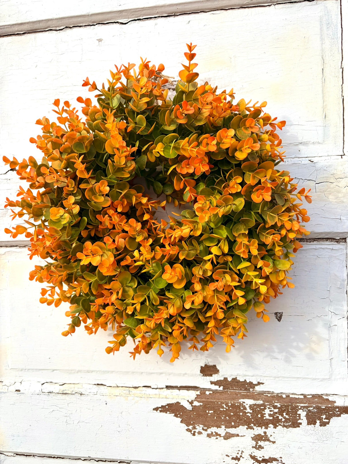 Small Fall Boxwood Wreath | 15" Autumn Front Door & Thanksgiving Decor TCTCrafts
