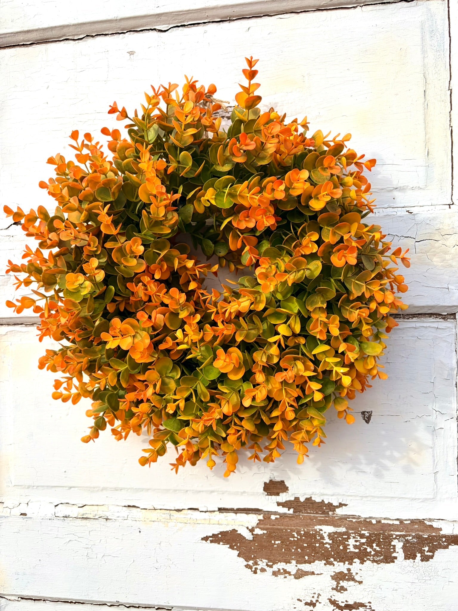 Small Fall Boxwood Wreath | 15" Autumn Front Door & Thanksgiving Decor TCTCrafts