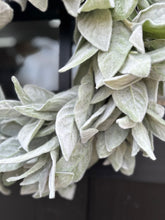 Load image into Gallery viewer, Handmade Lamb&#39;s Ear Wreath for All Seasons – Perfect Everyday Decor