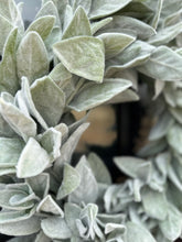 Load image into Gallery viewer, Handmade Lamb&#39;s Ear Wreath for All Seasons – Perfect Everyday Decor